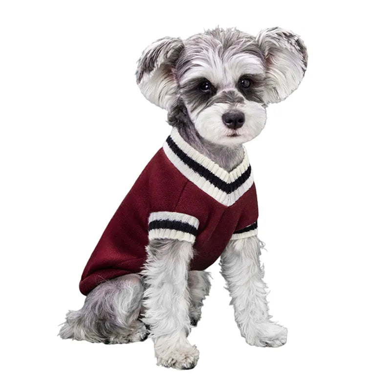 College Style Pet Sweater
