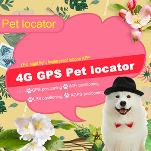 Pet GPS Location Tracker (2G 3G 4G)