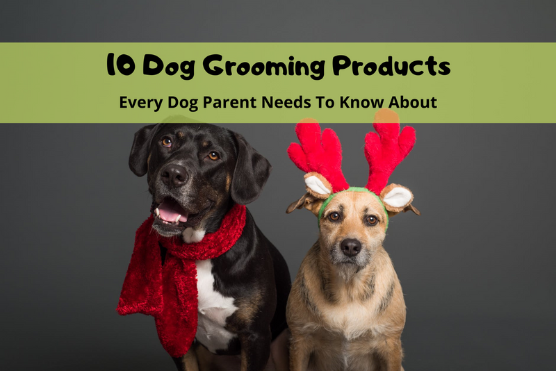 10 Dog Grooming Products