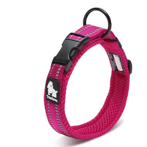 All Season - Reflective Collar