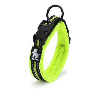 All Season - Reflective Collar