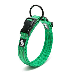 All Season - Reflective Collar