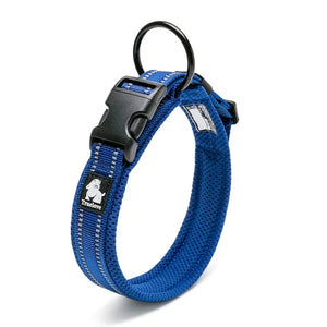 All Season - Reflective Collar