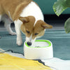 Dog/Cat Drinking Water Bowl (Without Spill)