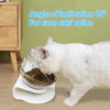 Double Pet Feed Bowl (non-slip)