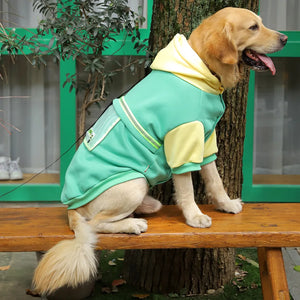 Dog Winter Hoodie Coat (M-XL)