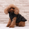 Classic Dazzle Pet Dog Jacket