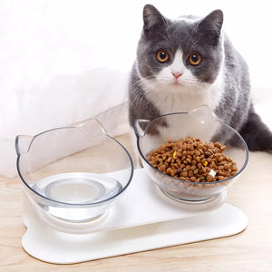 Double Pet Feed Bowl (non-slip)