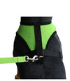Mesh Pet Harness with Lead / Collars