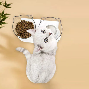 Double Pet Feed Bowl (non-slip)