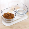 Double Pet Feed Bowl (non-slip)