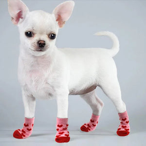 Pet House Socks (4pcs)