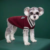 College Style Pet Sweater