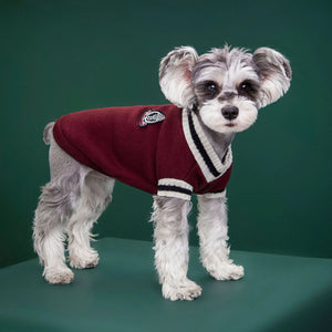 College Style Pet Sweater