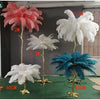 Ostrich Feather Floor Lamp