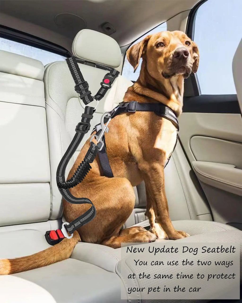 Adjustable & Heavy Duty Dog Car Seat Belt