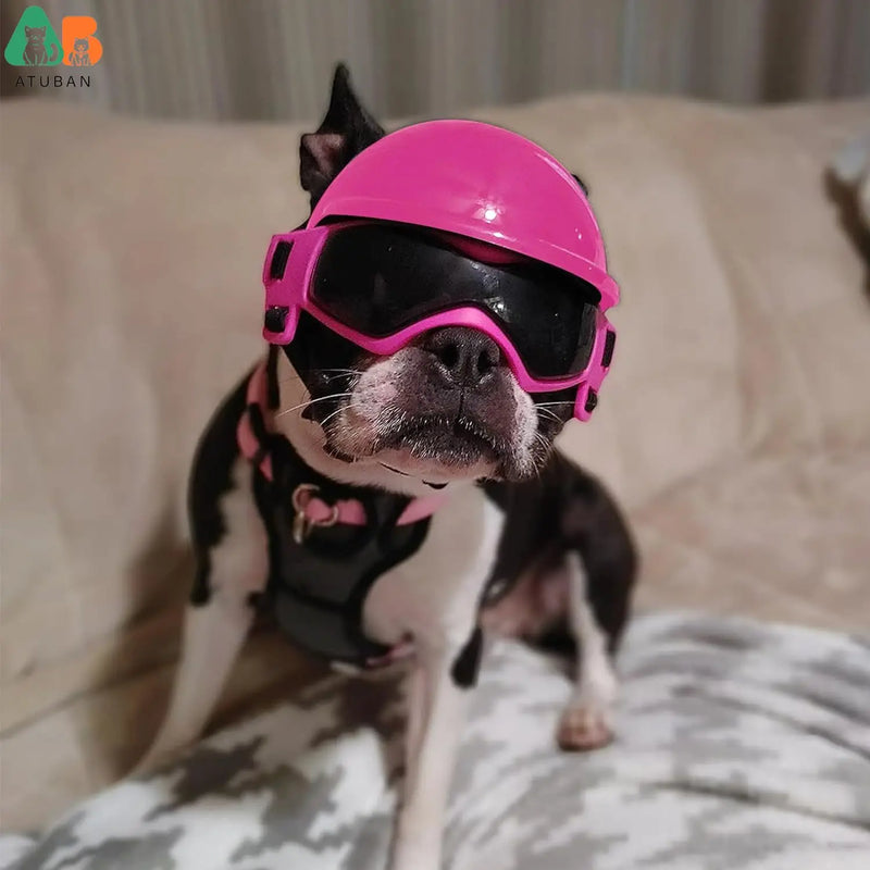 Dog Helmet and Goggles (with Ear Holes)