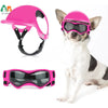 Dog Helmet and Goggles (with Ear Holes)