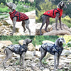 Winter Pet Waterproof - Jacket