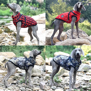 Winter Pet Waterproof - Jacket