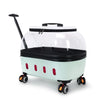 PET Transparent Carrier (Pull/Rod)