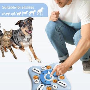 PET Slow Feeder Training