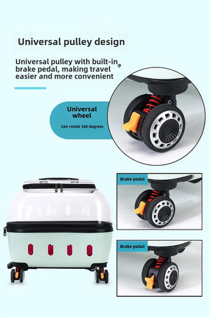 PET Transparent Carrier (Pull/Rod)