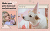 Bling Chain Collar (Dog/Cat)