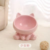 PET Cat Ceramic (spine protection) Bowls