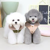 Fur Collar - Winter Dog Jacket