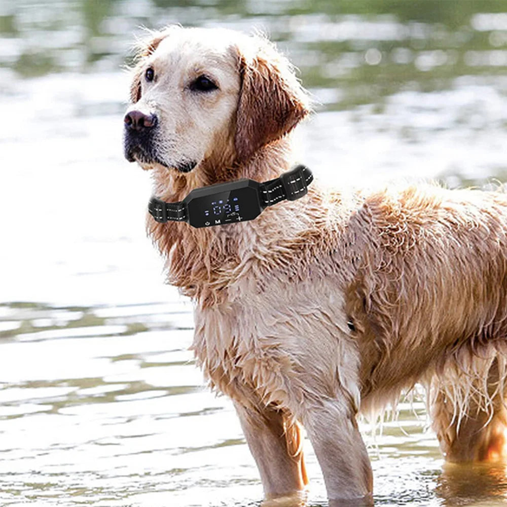GPS Tracker for Dog (Waterproof Collar)