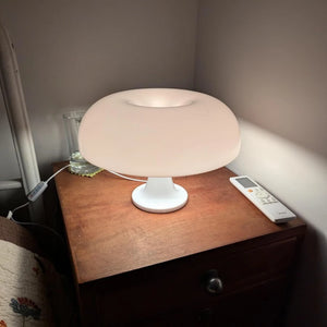 Mushroom Lamp (Italy Designer)