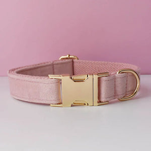 Customized Dog Collar / Leash