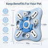 PET Slow Feeder Training