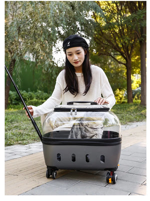 PET Transparent Carrier (Pull/Rod)