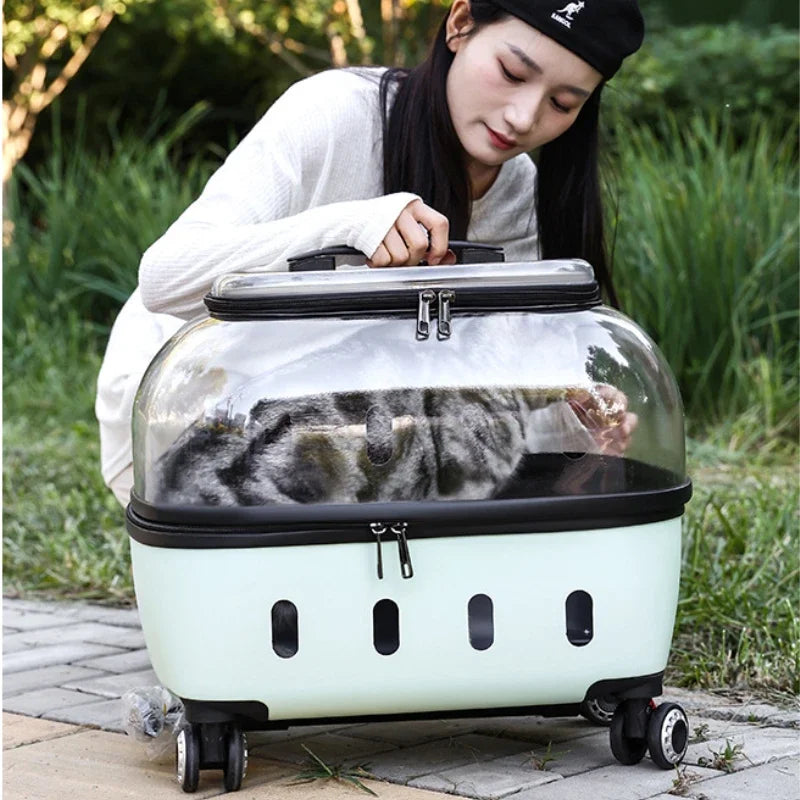 PET Transparent Carrier (Pull/Rod)