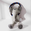 Dog Squeaky Chew Toys