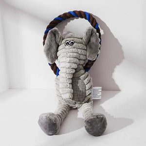 Dog Squeaky Chew Toys