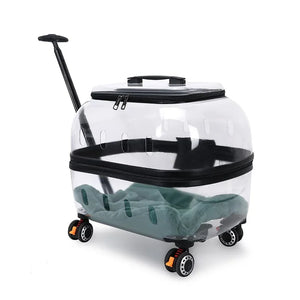 PET Transparent Carrier (Pull/Rod)