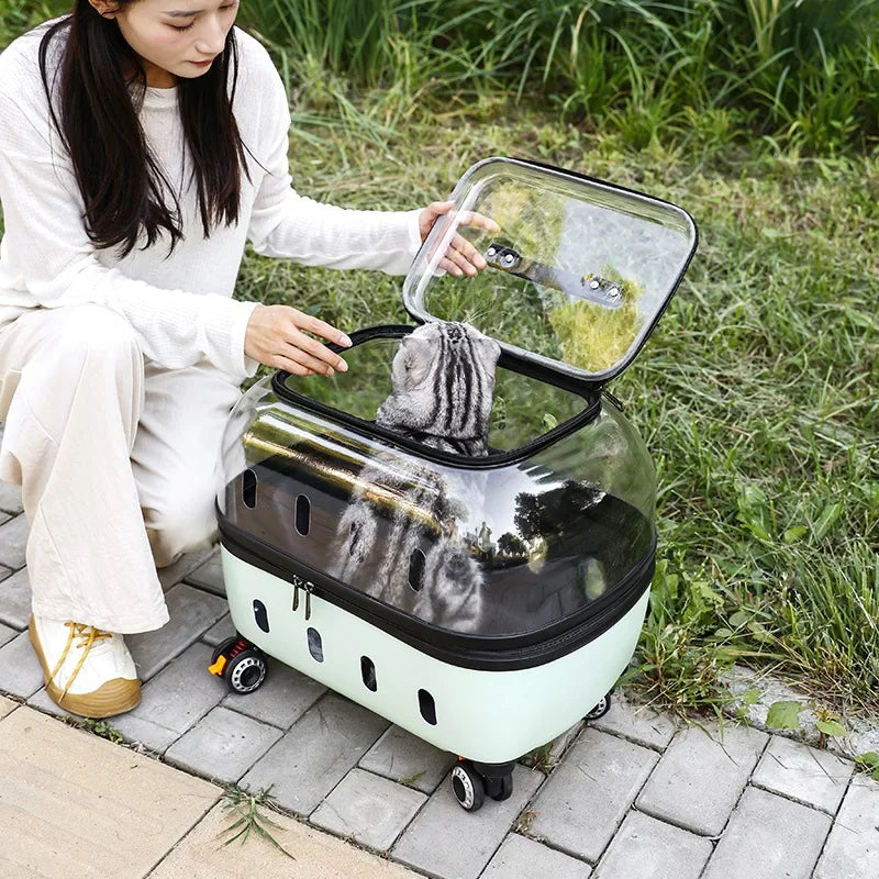 PET Transparent Carrier (Pull/Rod)