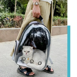 PET Transparent Space Capsule/Backpack