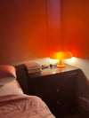 Mushroom Lamp (Italy Designer)
