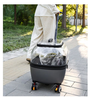 PET Transparent Carrier (Pull/Rod)