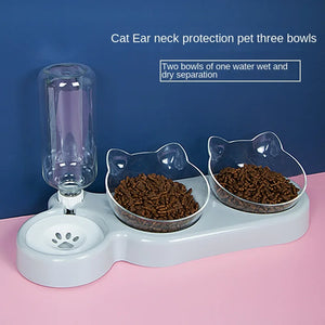 Pet Elevated Cat Bowls (Double)