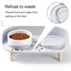 Pet Elevated Food/Water Feeder(USA)
