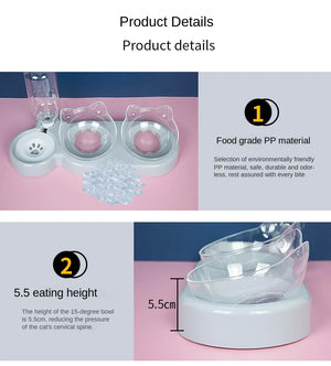 Pet Elevated Cat Bowls (Double)