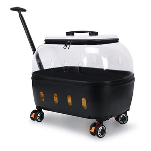 PET Transparent Carrier (Pull/Rod)