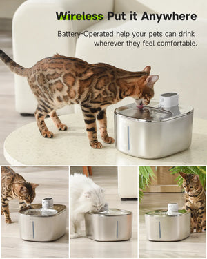 Pet Water Fountain 4L