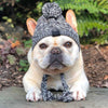 Pet Winter Beannie