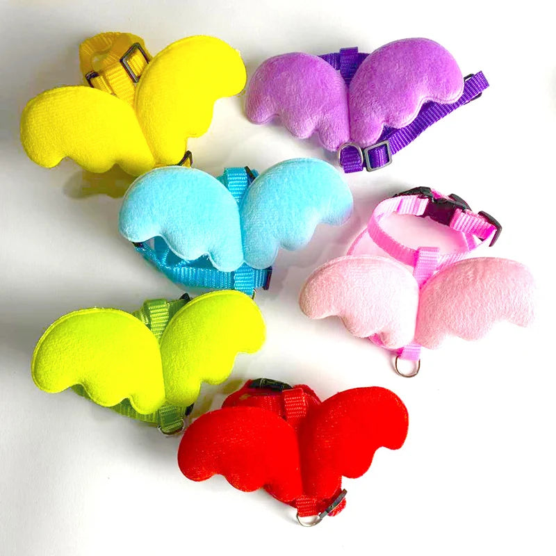 Bunny Wings Pet Harness & Leash